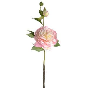 Peony Pretty Soft Pink 60Cm