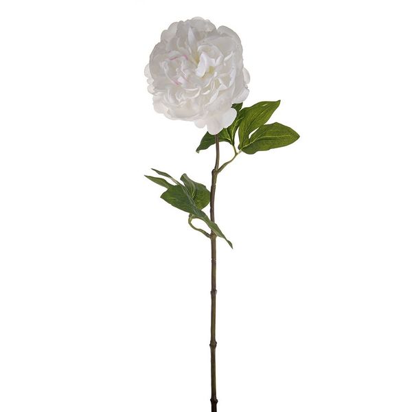 SORBET SINGLE PEONY STEM WHITE 60CM