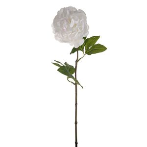SORBET SINGLE PEONY STEM WHITE 60CM