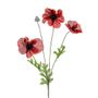 Poppy Flame Red