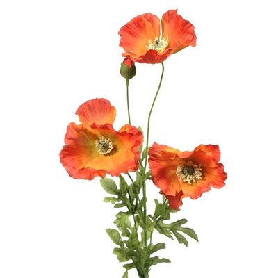Poppy Orange 3 Heads 2 Buds