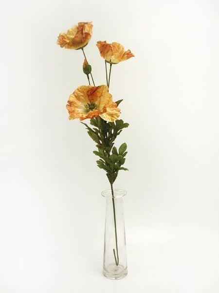 Amber Poppy Brown