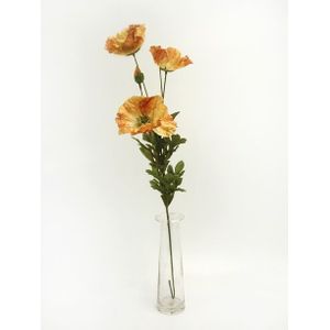 Amber Poppy Brown