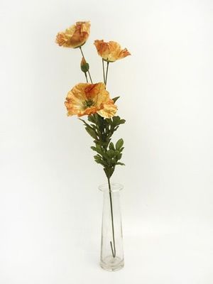 Amber Poppy Brown