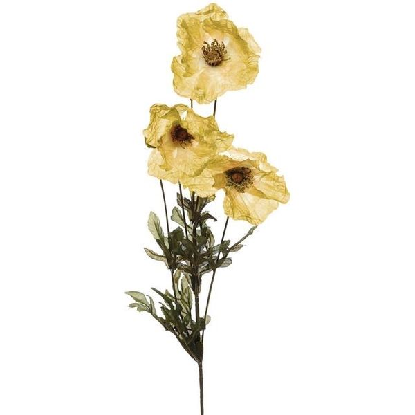 Amber Poppy Yellow