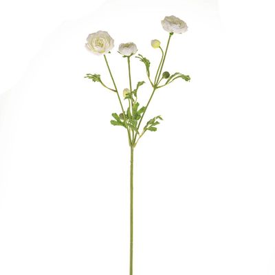 Fiesta Ranunculus Cream 66Cm