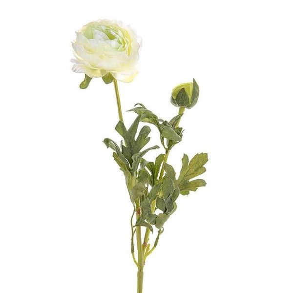 Ranunculus Cream 38Cm