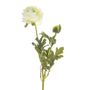 Ranunculus Cream 38Cm