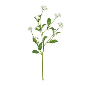 Forget-Me-Not Spray Cream - 49cm