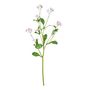 Forget-Me-Not Spray - Lilac - 49cm