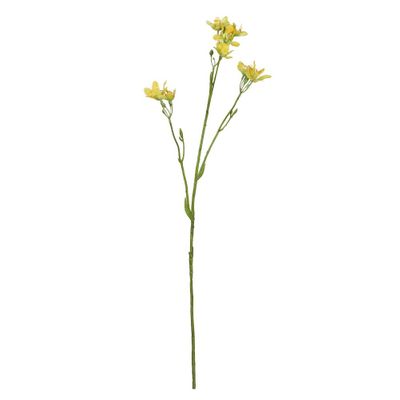 Belemcanda Chinensis Spray - Yellow - 60cm