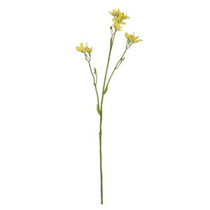 Belemcanda Chinensis Spray - Yellow - 60cm