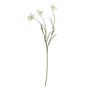 Daffodil Spray Cream - 70cm