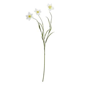 Daffodil Spray Cream - 70cm