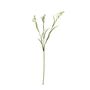 Freesia Spray - 63cm