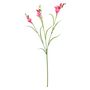 Freesia Spray - Dark Pink - 63cm
