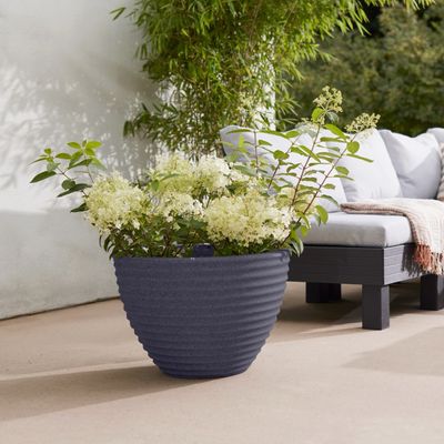 Milstone Grey Low Honey Pot
