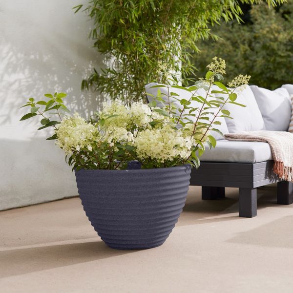 Milstone Grey Low Honey Pot