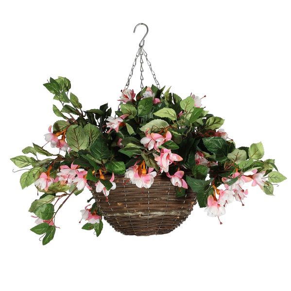 Fuchsia Hanging  Basket 