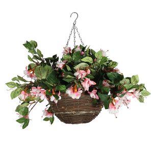 Fuchsia Hanging  Basket 