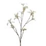 Holly Leaf Cream 114cm