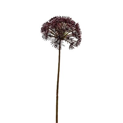 Anethum Spray Dark Pink