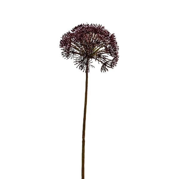 Anethum Spray Dark Pink