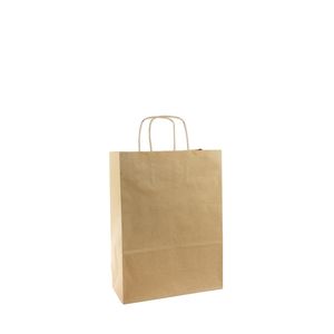 Kraft Paper Bag Brown (22x10x30cm)