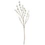 Plum Blossom Cream - 127cm