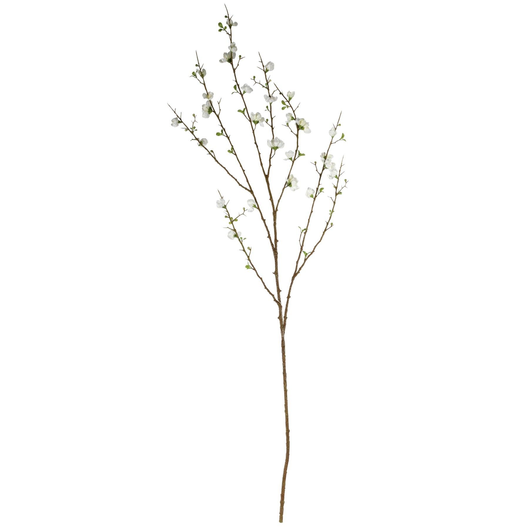 Plum Blossom Cream - 127cm