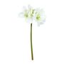Hippeastrum Spray Cream X 3 - 83cm