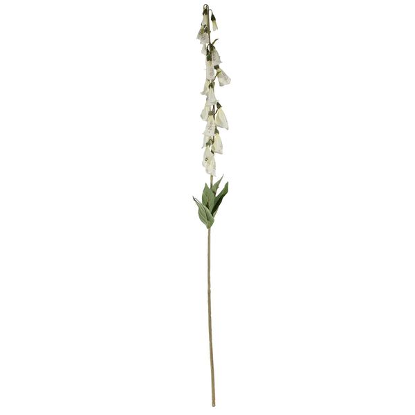 Digitalis Spray Cream - 107cm