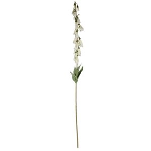 Digitalis Spray Cream - 107cm