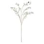 Stephanotis Spray Cream - 153cm