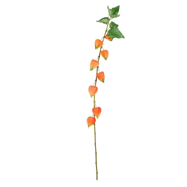 Single Houzuki - 91cm