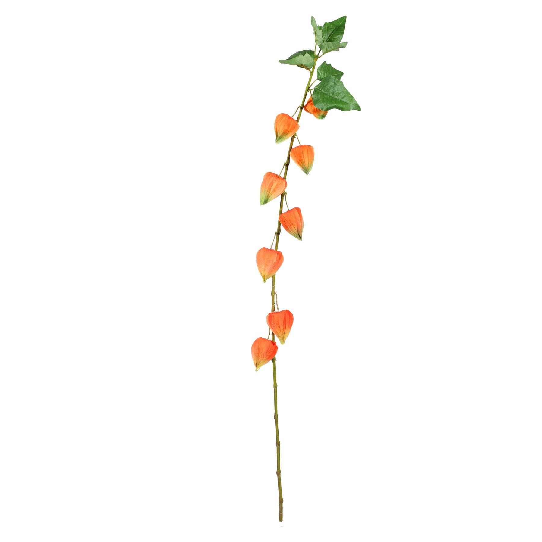 Single Houzuki - 91cm