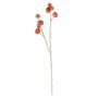 Cushaw Spray - 97cm