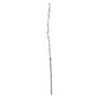 Single Pussy Willow - 89cm