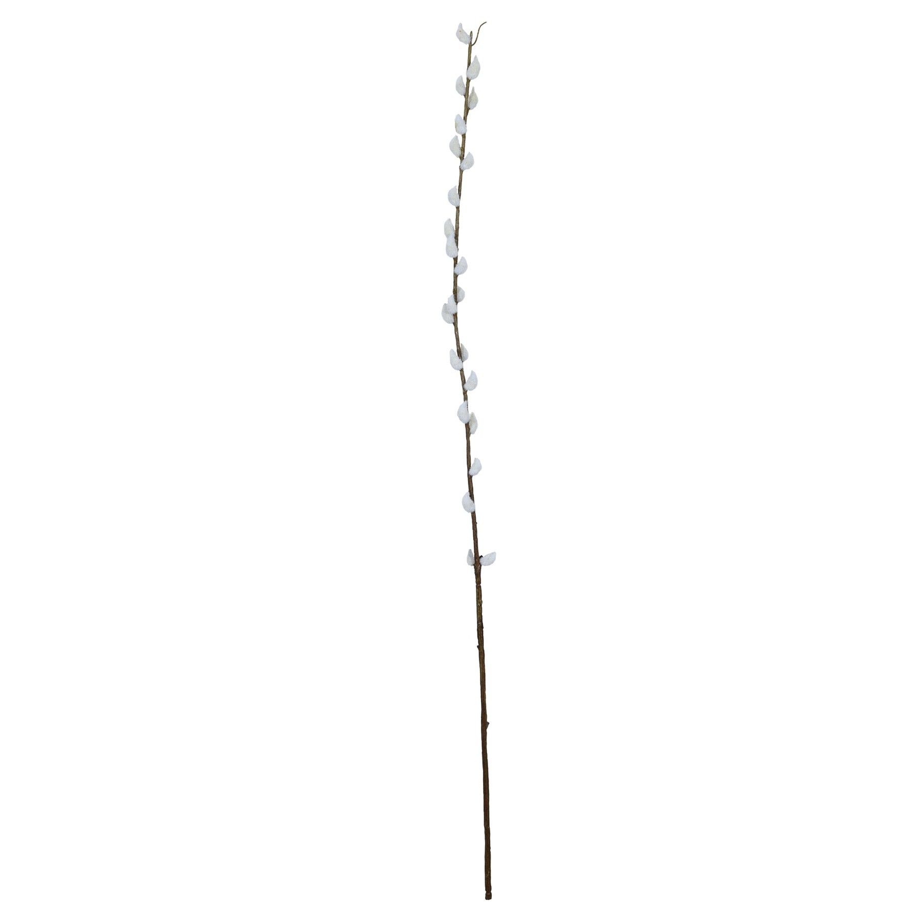 Single Pussy Willow - 89cm