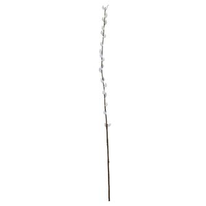 Single Pussy Willow - 89cm