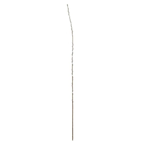 Single Salix - 182cm