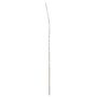 Single Salix - 182cm