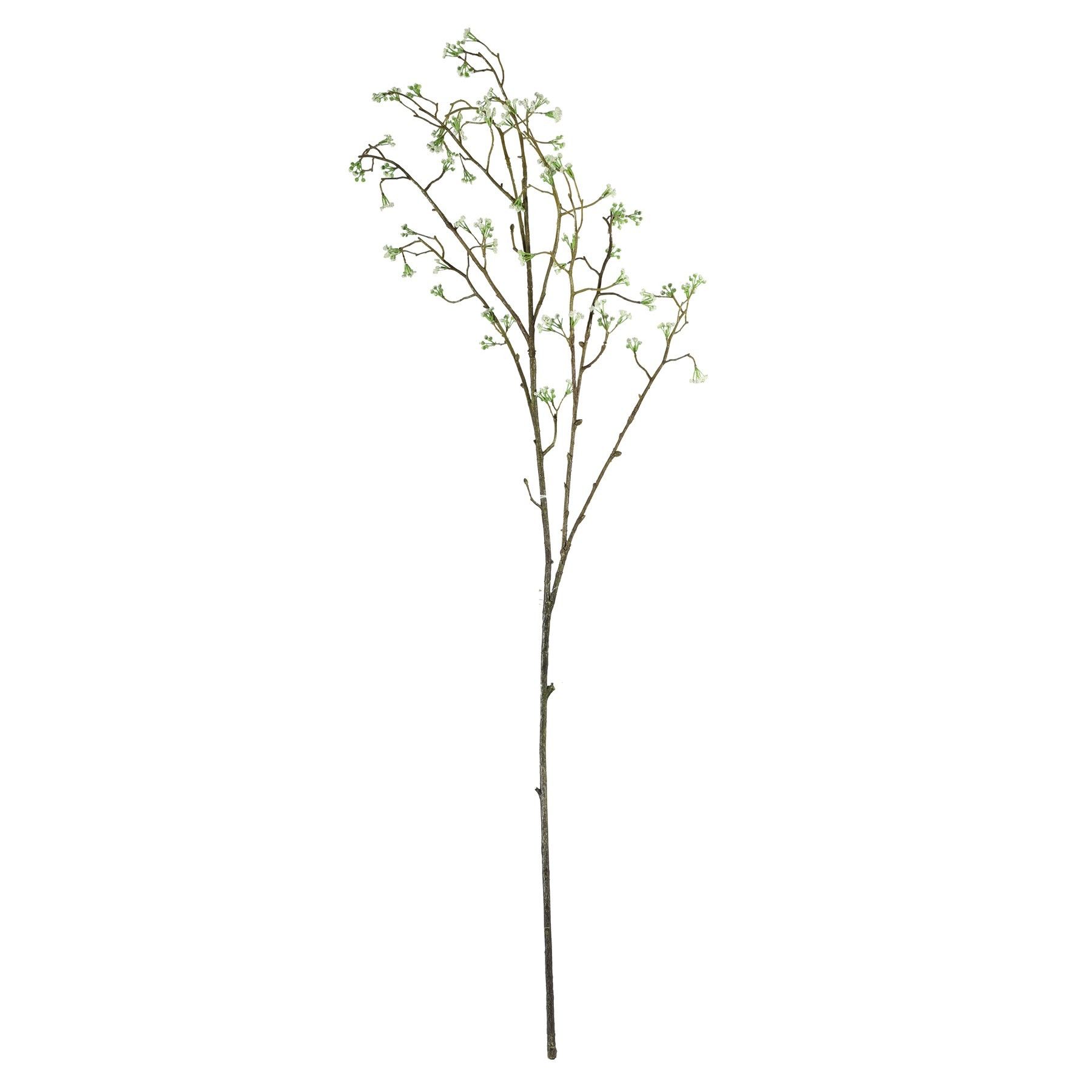 Wild Carrot Cream - 91cm