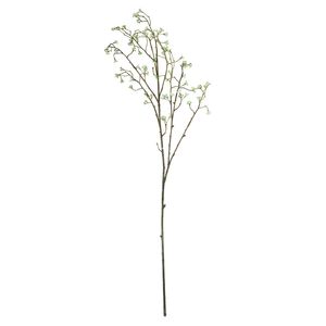 Wild Carrot Cream - 91cm