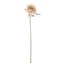 Romance Rose Bud Cream 46Cm