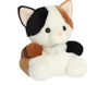 Calico Cat (5In) 2