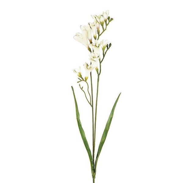 Freesia Spray 2 Heads Cream