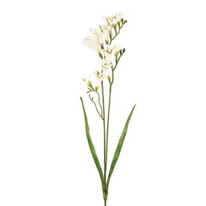 Freesia Spray 2 Heads Cream