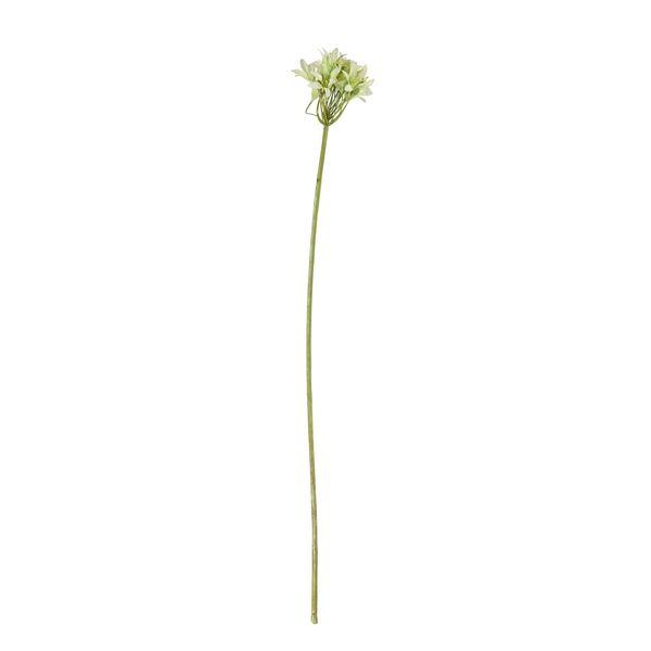 Agapanthus Stem Green - 77cm