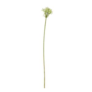 Agapanthus Stem Green - 77cm